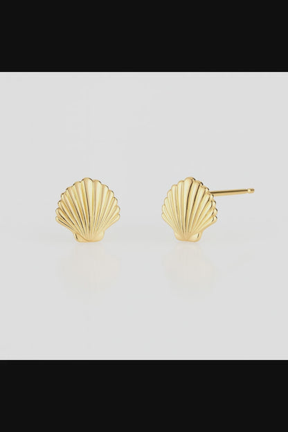 Elegant Shell Stud Earrings – Set of 10